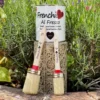 Two Frenchic Oval Brushes with red ferrules displayed outdoors next to Frenchic Al Fresco paint tin in garden setting