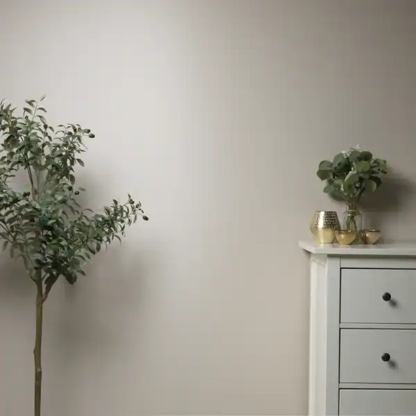 Minimalist interior wall with a potted plant and a white chest of drawers, showcasing a clean and modern home decor style.