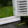 Close-up of a white shutter mirror with a louvered design, installed on a window frame in a garden setting.