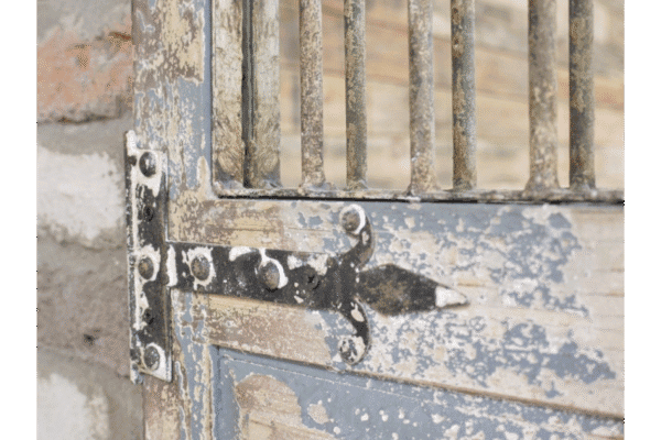 Close-up of a rustic metal gate with peeling paint and a latch, showcasing vintage industrial style.