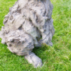 Large wooden rabbit sculpture with a textured, natural finish placed on a grassy lawn.