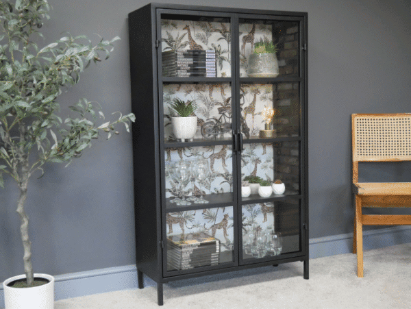 Industrial Safari Display Cabinet with glass doors showcasing decorative items and books, in a modern interior setting.