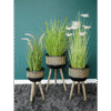 Three decorative planters on wooden legs with lush green plants against a teal wall, ideal for home decor.