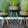 Set of three modern plant pots with wooden legs and black and beige patterned design, containing tall green grass plants, on a grey shaggy rug against a teal wall.