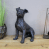 Gunmetal metallic sitting dog sculpture on wooden surface with potted plant and modern lamp in background.