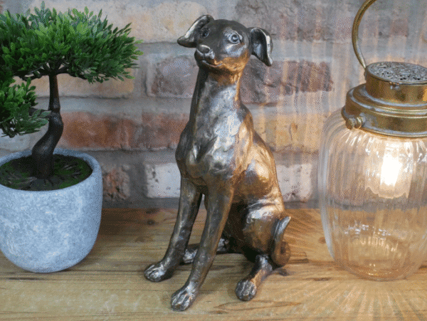 Gold metallic sitting dog sculpture on wooden surface with potted plant and lantern in background.