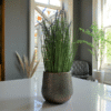 Decorative potted plant with tall green grass and purple flowers on a white table in a bright, modern room.