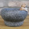 Small dog figurine in a textured stone-like trough, ideal for pet decor or small plant displays.
