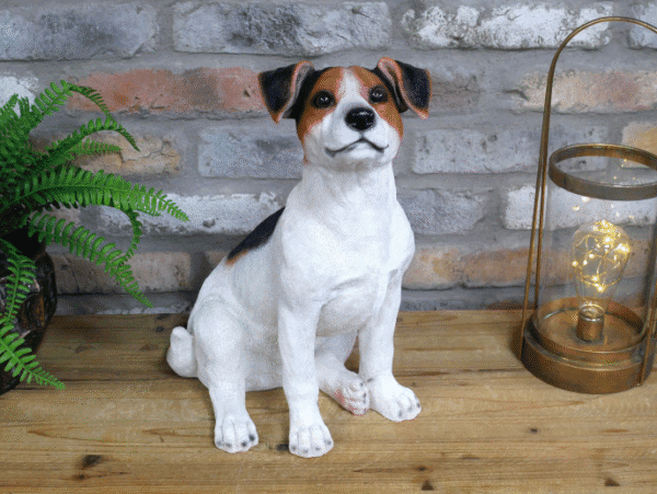 Sitting Jack Russell puppy on wooden floor with brick wall background, decorated with a green plant and a modern lamp.