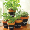 Collection of potted herbs including basil, thyme, mint, parsley, and chives on a windowsill for kitchen gardening.
