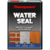 Thompson’s Water Seal – clear waterproof protection for exterior masonry