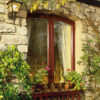 A charming window with a wooden frame set in a stone wall, surrounded by lush green plants and flowering pots, creating a cozy outdoor scene.
