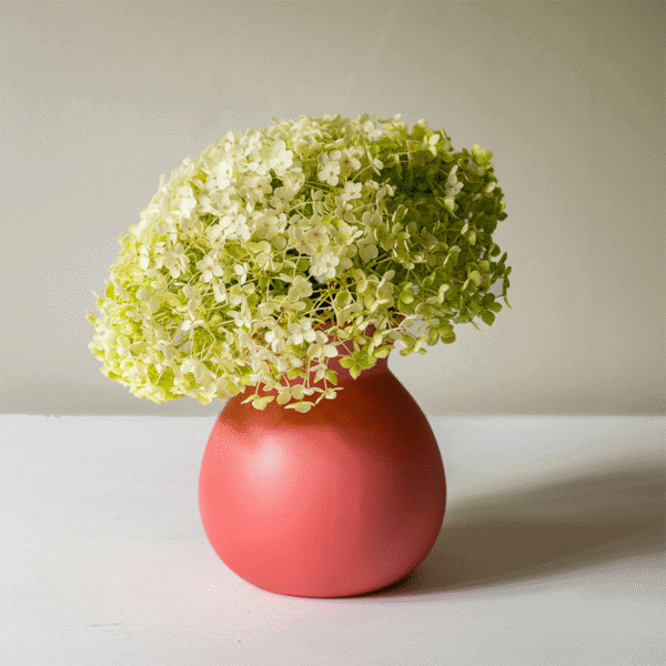 Beautiful pale green hydrangea flowers in a pink ceramic vase, ideal for home decoration and floral arrangements.